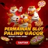 Mawar 4d - Image 4